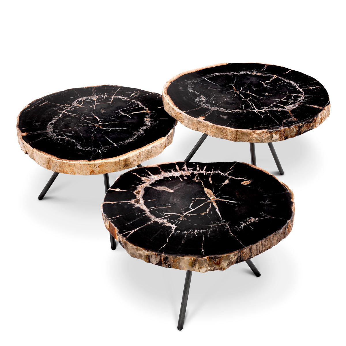 Petrified Coffee Table (3) De Soto | Eichholtzmh.com