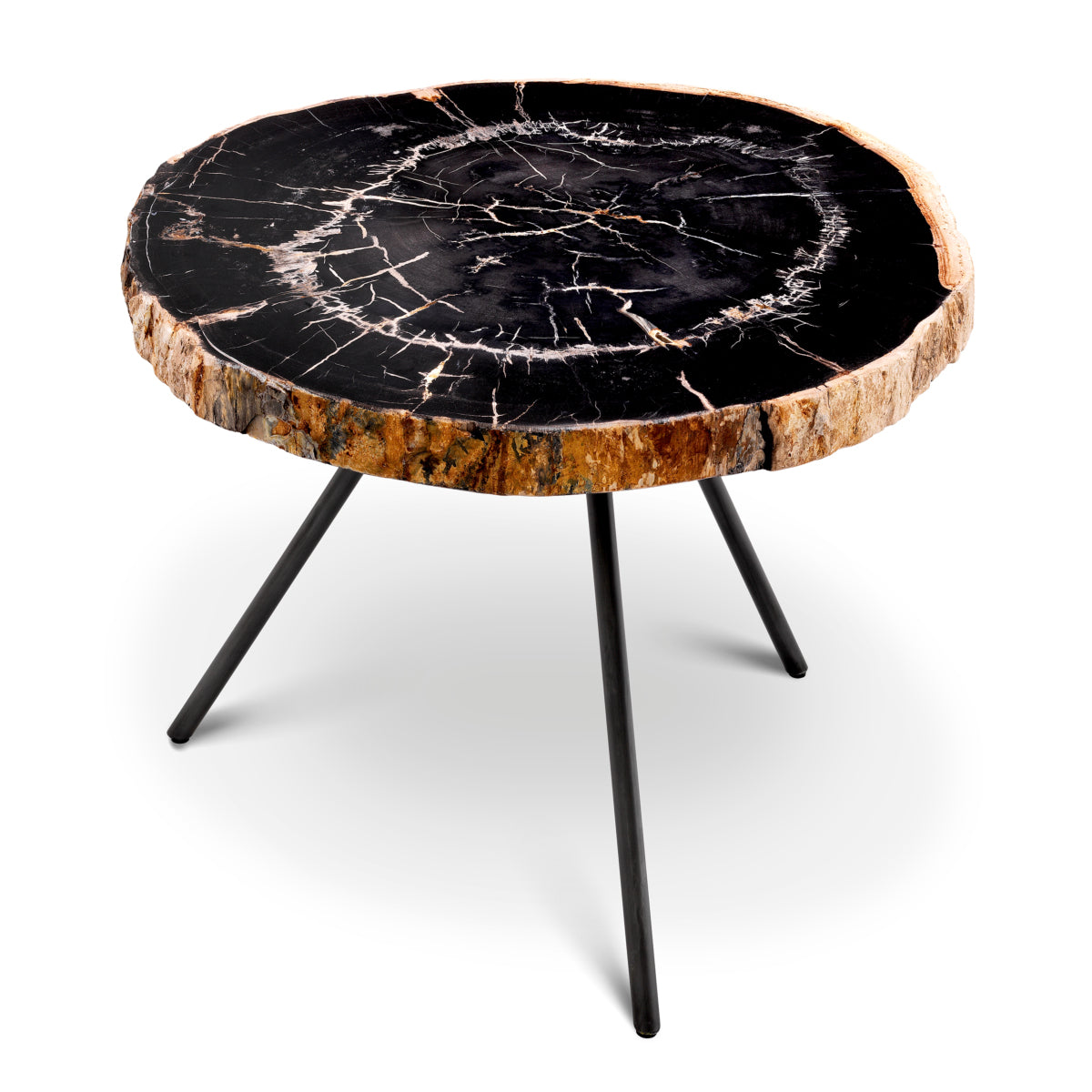 Petrified Coffee Table (3) De Soto | Eichholtzmh.com