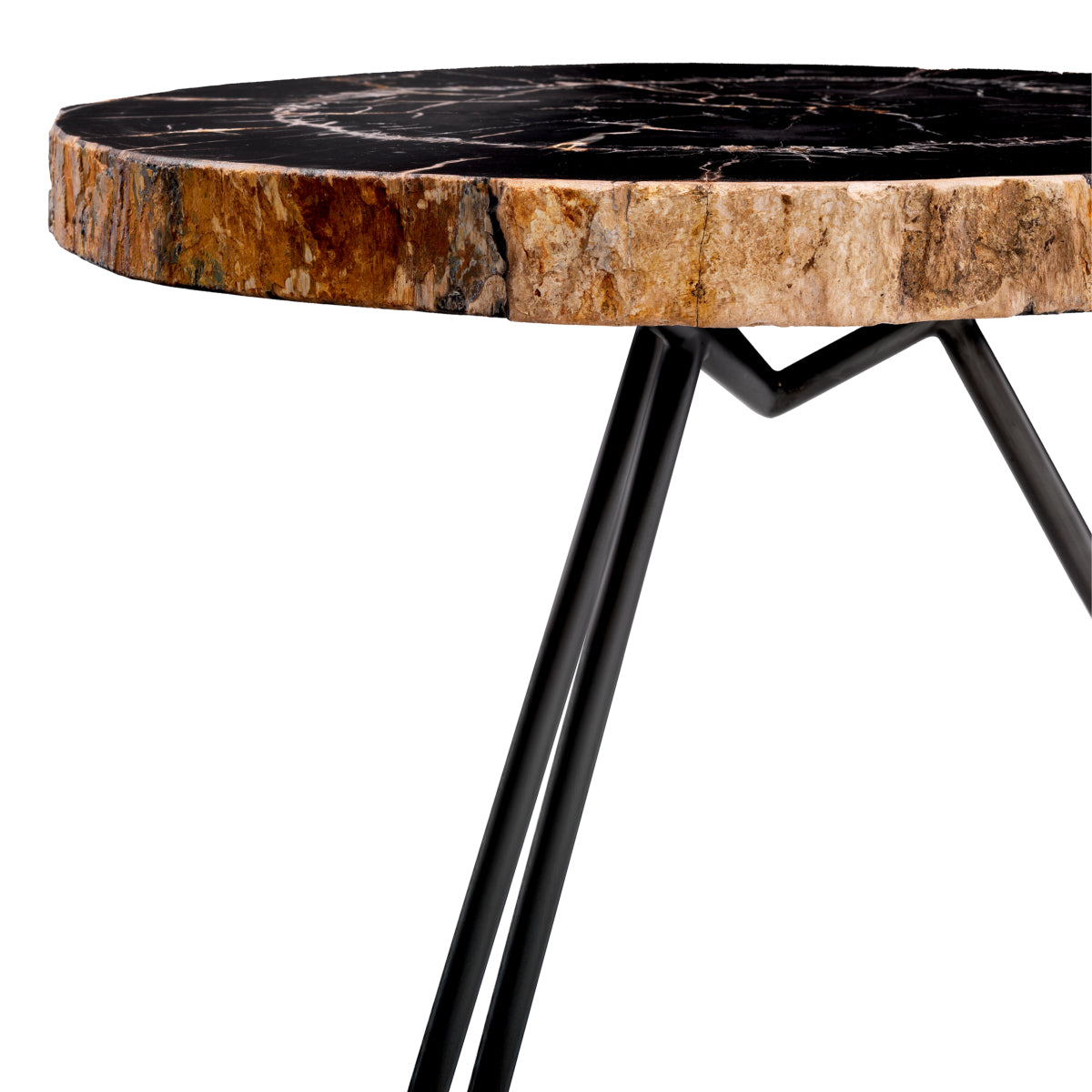 Petrified Coffee Table (3) De Soto | Eichholtzmh.com