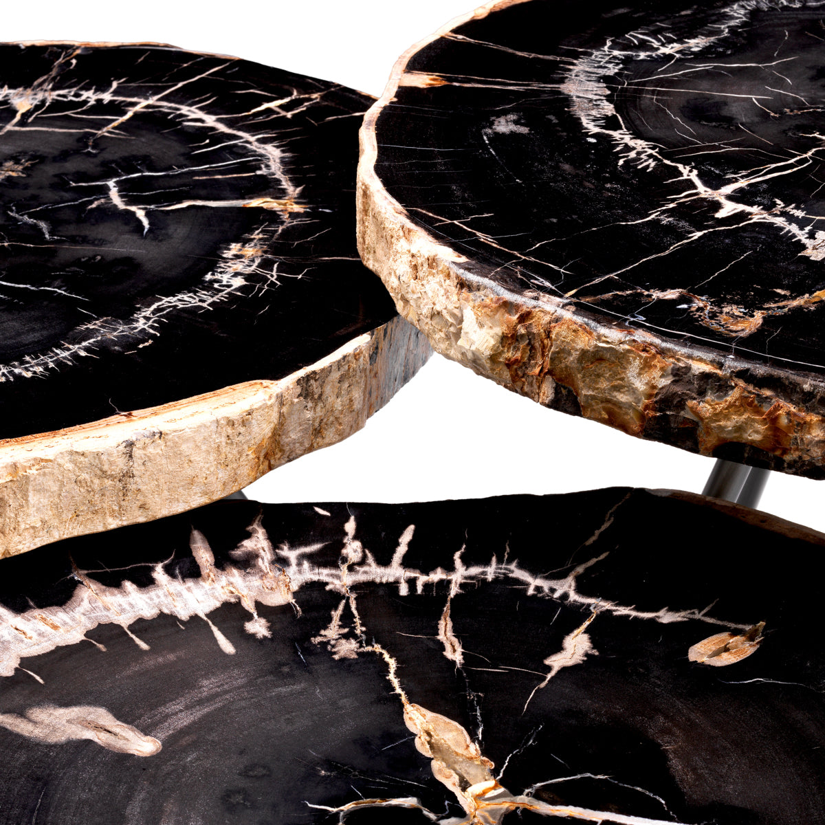 Petrified Coffee Table (3) De Soto | Eichholtzmh.com