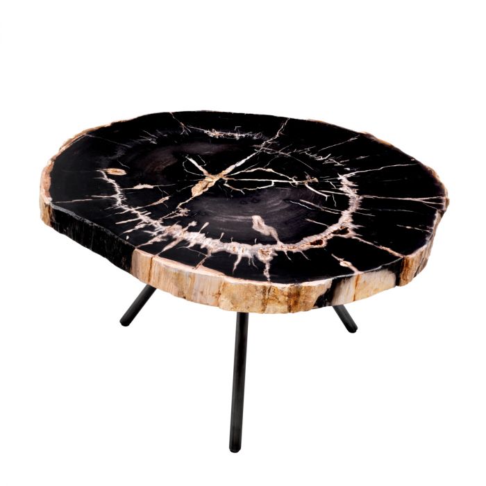Coffee Table De Soto dark range petrified wood set of 3