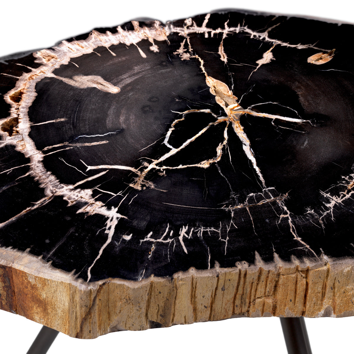 Petrified Coffee Table (3) De Soto | Eichholtzmh.com