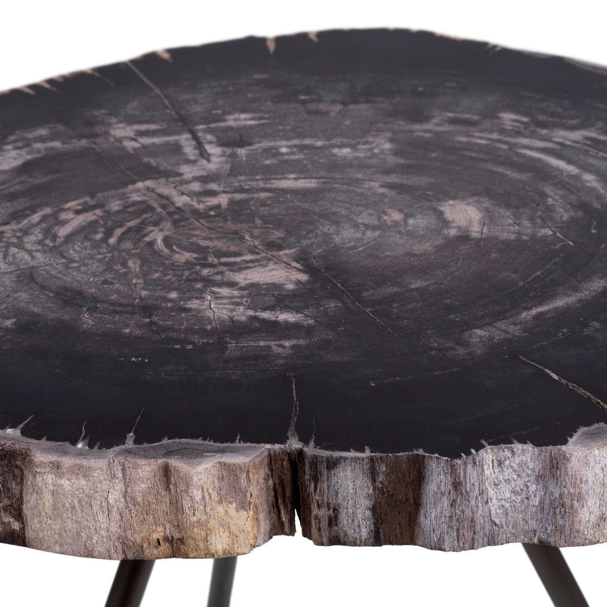 Petrified Coffee Table (3) De Soto | Eichholtzmh.com
