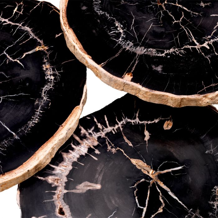 Coffee Table De Soto dark range petrified wood set of 3