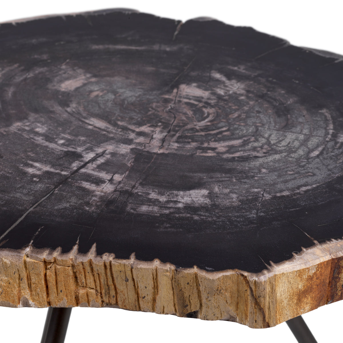 Petrified Coffee Table (3) De Soto | Eichholtzmh.com