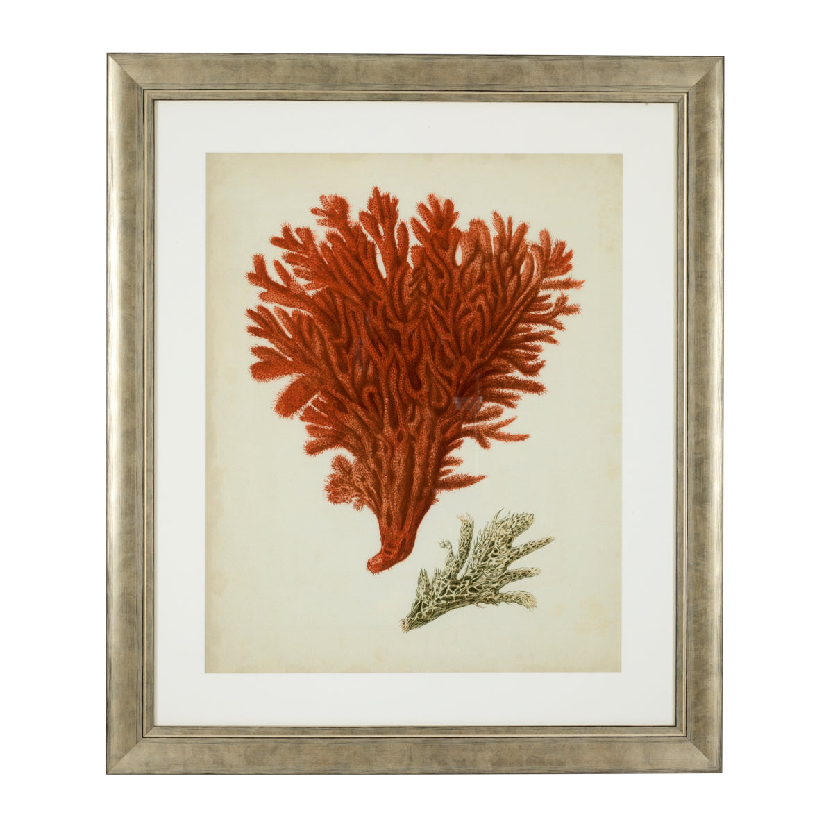 Silver Frame Prints (6) Red Corals | Eichholtzmh.com