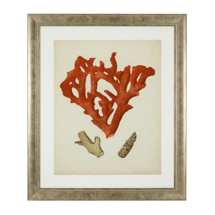 Print Antique Red Corals set of 6