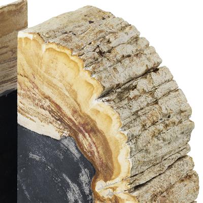 Petrified Wood Bookends (2) Opia | Eichholtzmh.com
