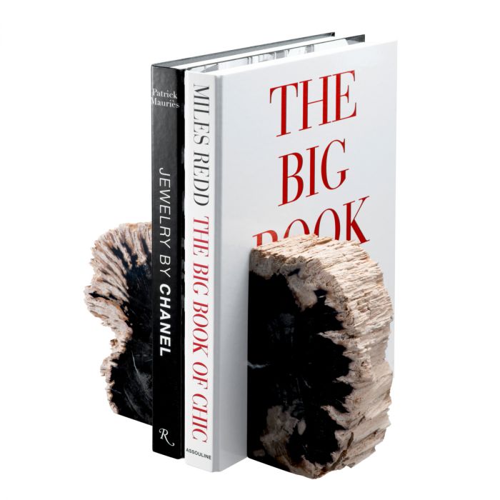 Bookend Opia petrified wood set of 2