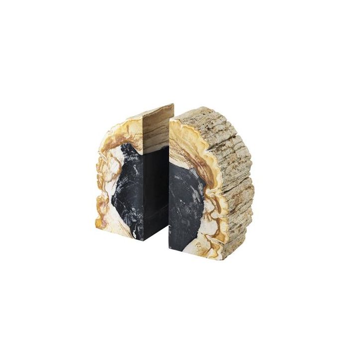 Bookend Opia petrified wood set of 2