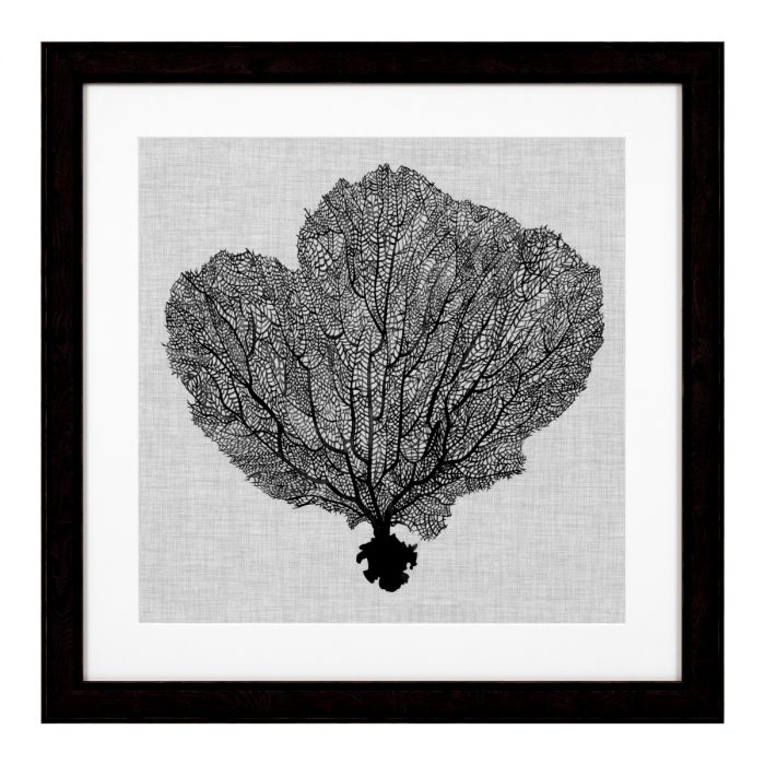 Print Shadow Sea Fans set of 4