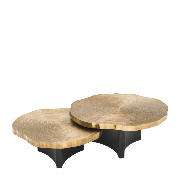 Coffee Table Thousand Oaks brass finish set of 2