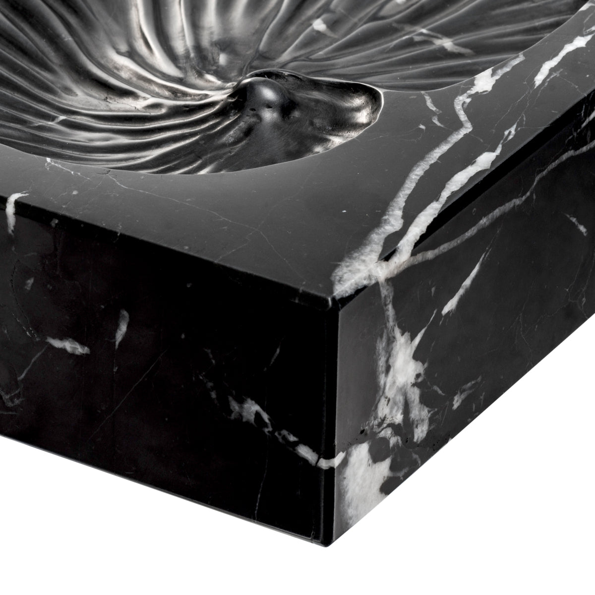 Black Marble Shell Fossil Conchiglia | Eichholtzmh.com