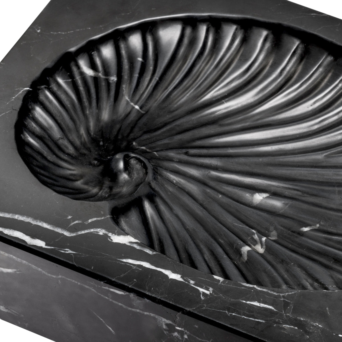 Black Marble Shell Fossil Conchiglia | Eichholtzmh.com