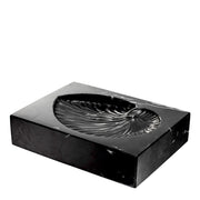 Black Marble Shell Fossil Conchiglia | Eichholtzmh.com