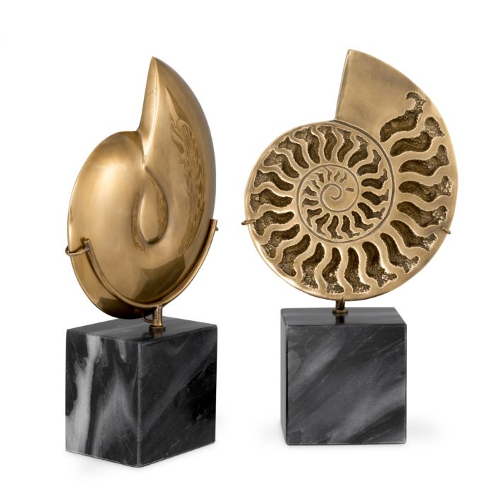Object Ammonite vintage brass finish set of 2