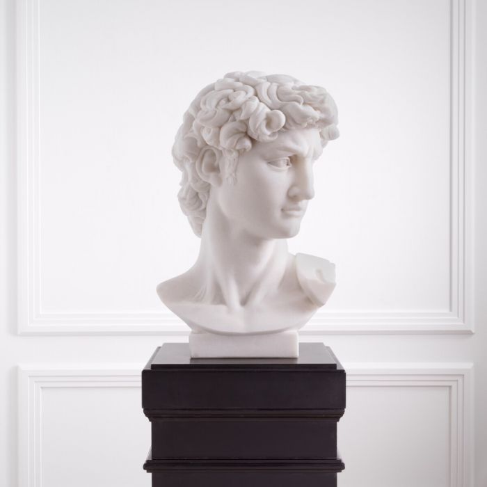 Head David white marble