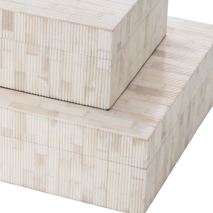 Box Scoop L natural bone