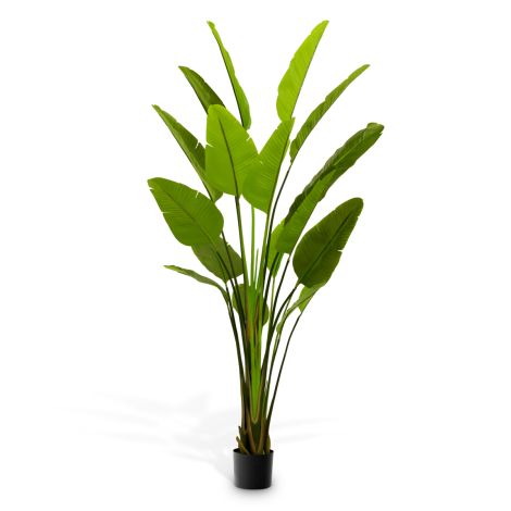 Green Artificial Plant Strelitzia | Eichholtzmh.com