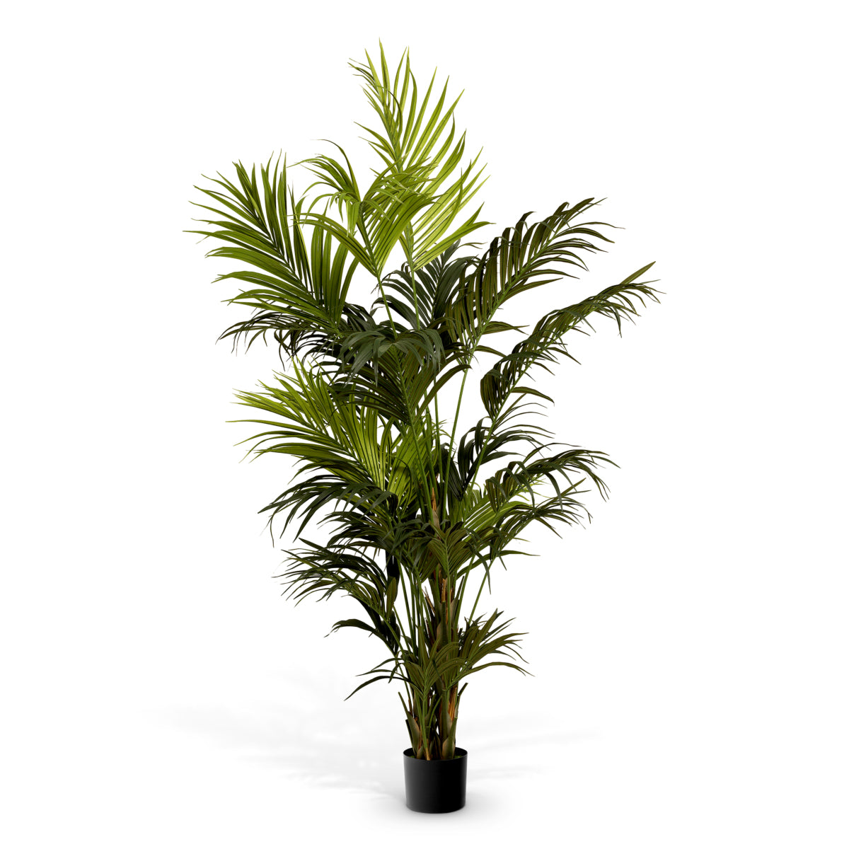 Green Artificial Plant Kentia Palm | Eichholtzmh.com