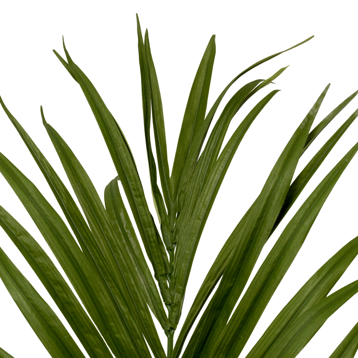 Green Artificial Plant Kentia Palm | Eichholtzmh.com