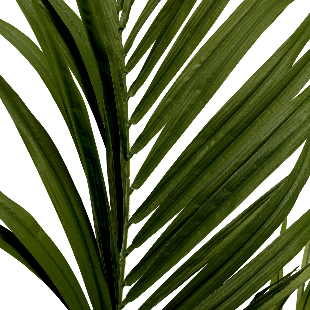 Green Artificial Plant Kentia Palm | Eichholtzmh.com