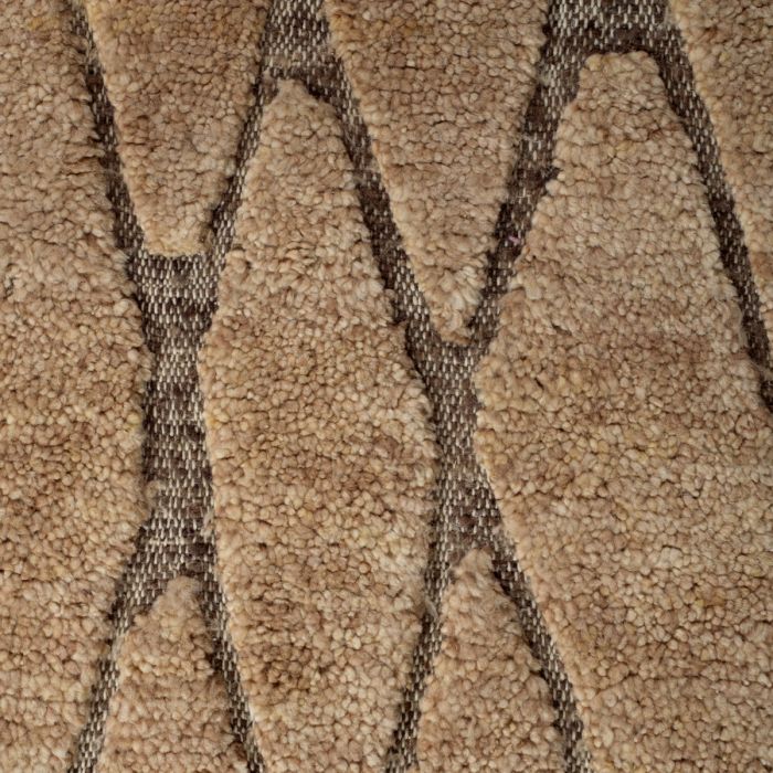 Rug Coralie brown beige 300 x 400 cm