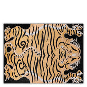 Orange Carpet 10' x 13' Zandria | Eichholtzmh.com