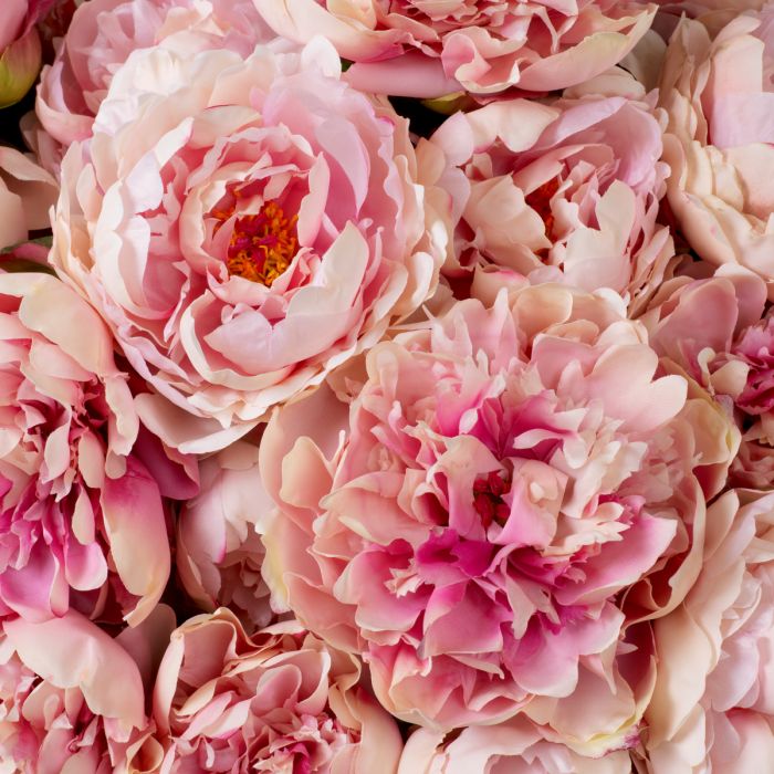 Bouquet of Peonies pink tones real touch 48 pcs/2 varieties