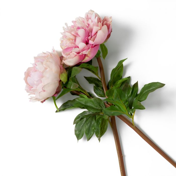 Bouquet of Peonies pink tones real touch 48 pcs/2 varieties