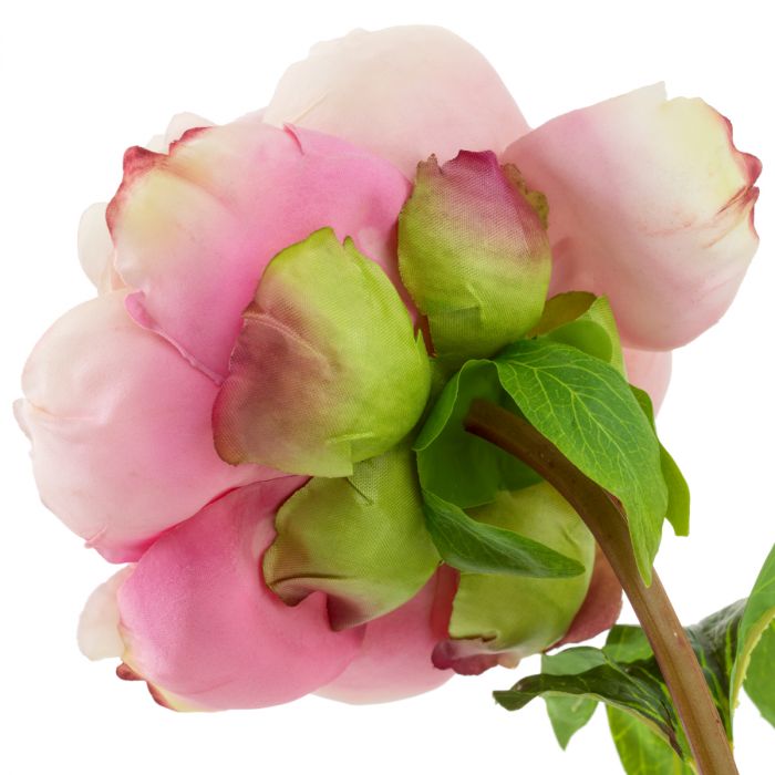 Bouquet of Peonies pink tones real touch 48 pcs/2 varieties