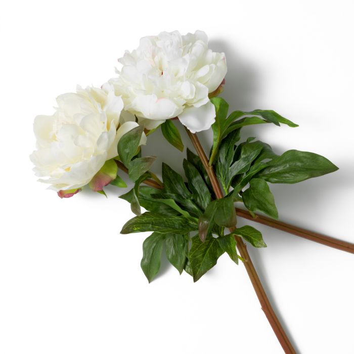Bouquet of Peonies white tones real touch 48 pcs/2 varieties