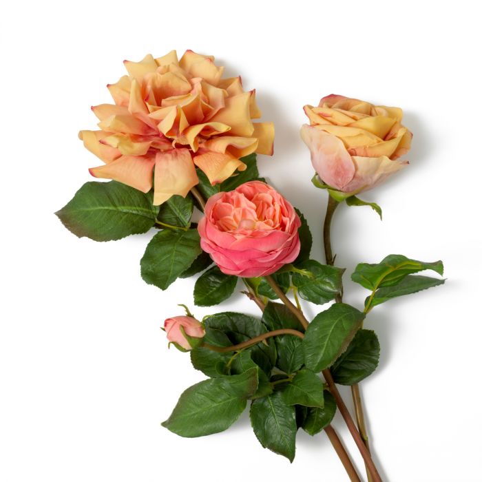 Bouquet of Roses real touch three tone peach 72 pcs/3 varieties