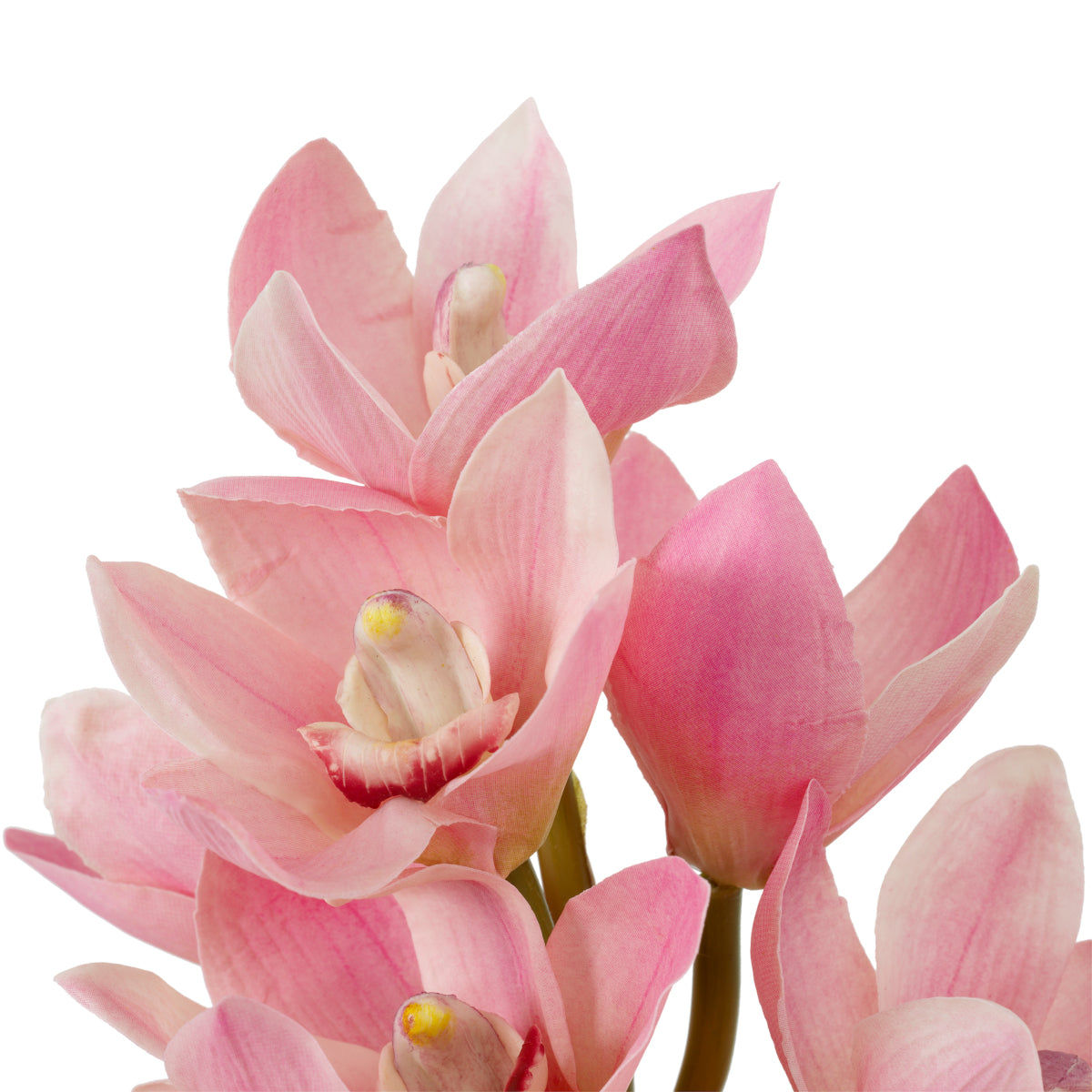 Pink Orchids Bouquet (36) Cymbidium | Eichholtzmh.com