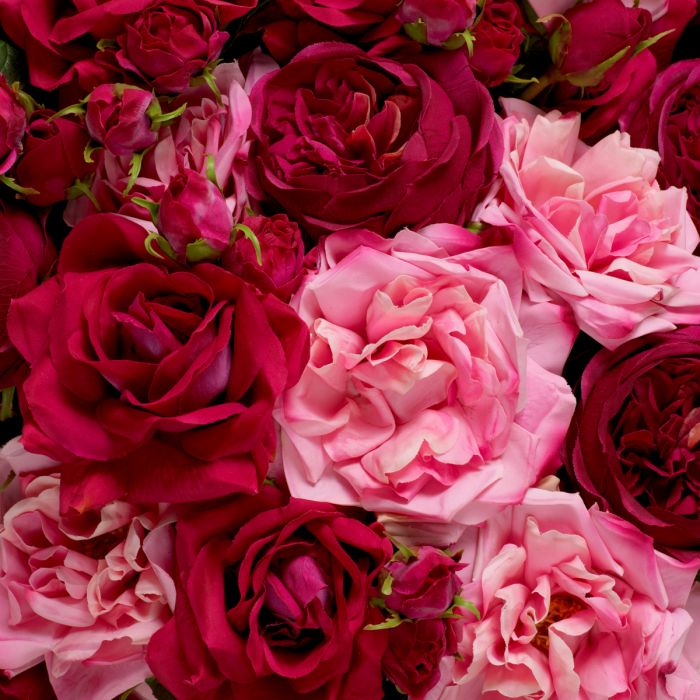 Bouquet of Roses multi color real touch 72 pcs/3 varieties