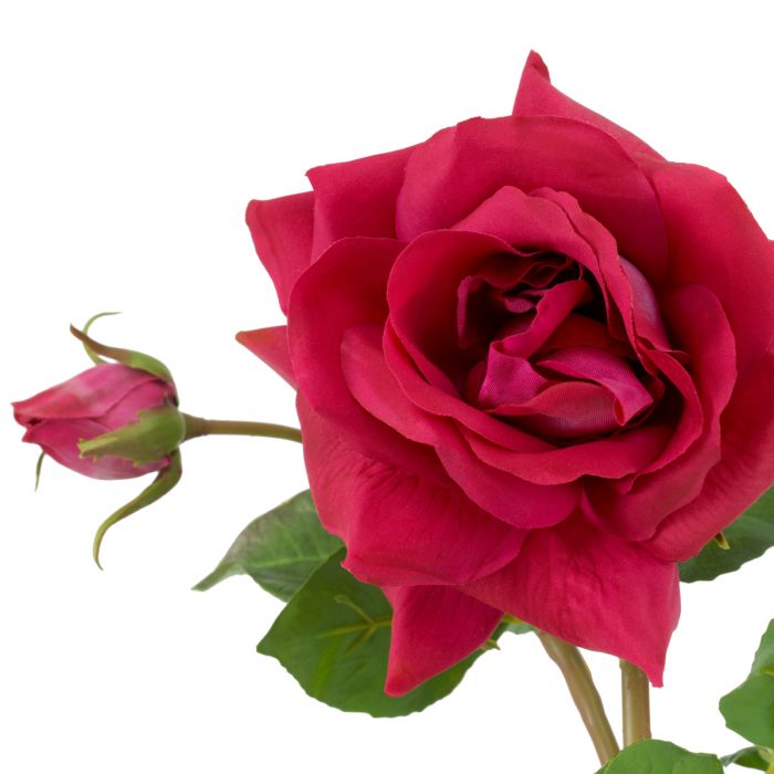 Bouquet of Roses multi color real touch 72 pcs/3 varieties