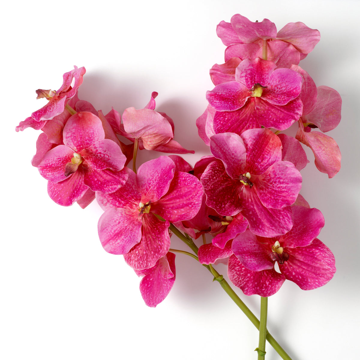 Bouquet of Artificial Flowers (24pcs) Vanda Orchids | Eichholtzmh.com 