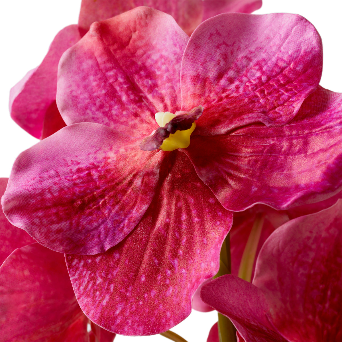 Bouquet of Artificial Flowers (24pcs) Vanda Orchids | Eichholtzmh.com 