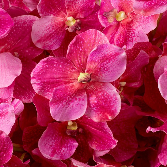 Bouquet of Vanda Orchids pink real touch 24 pcs