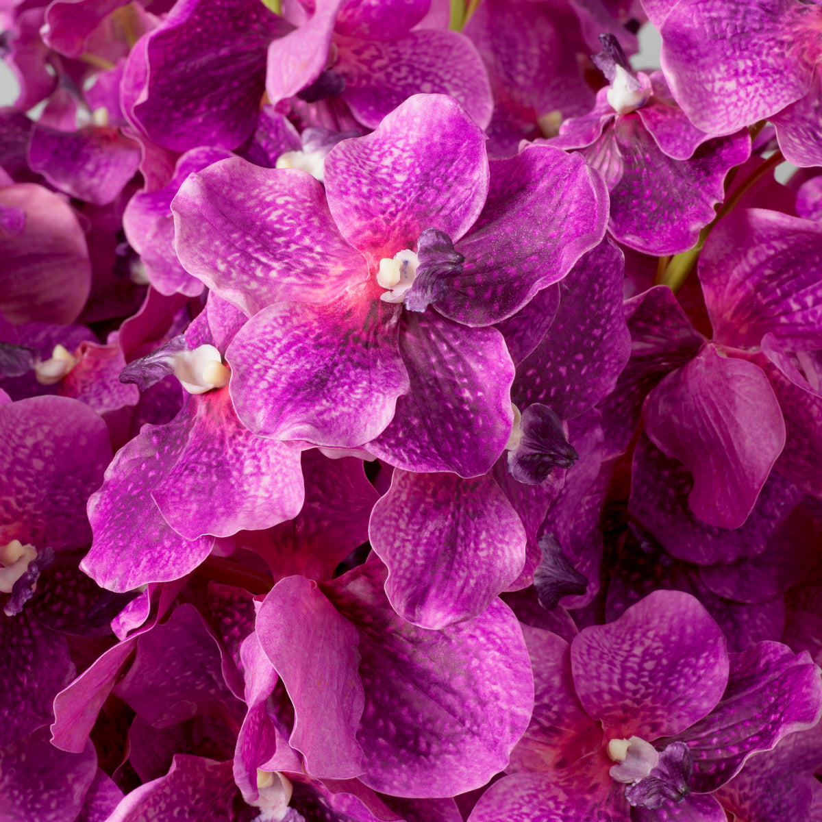 Bouquet of Artificial Flowers (24pcs) Vanda Orchids | Eichholtzmh.com 