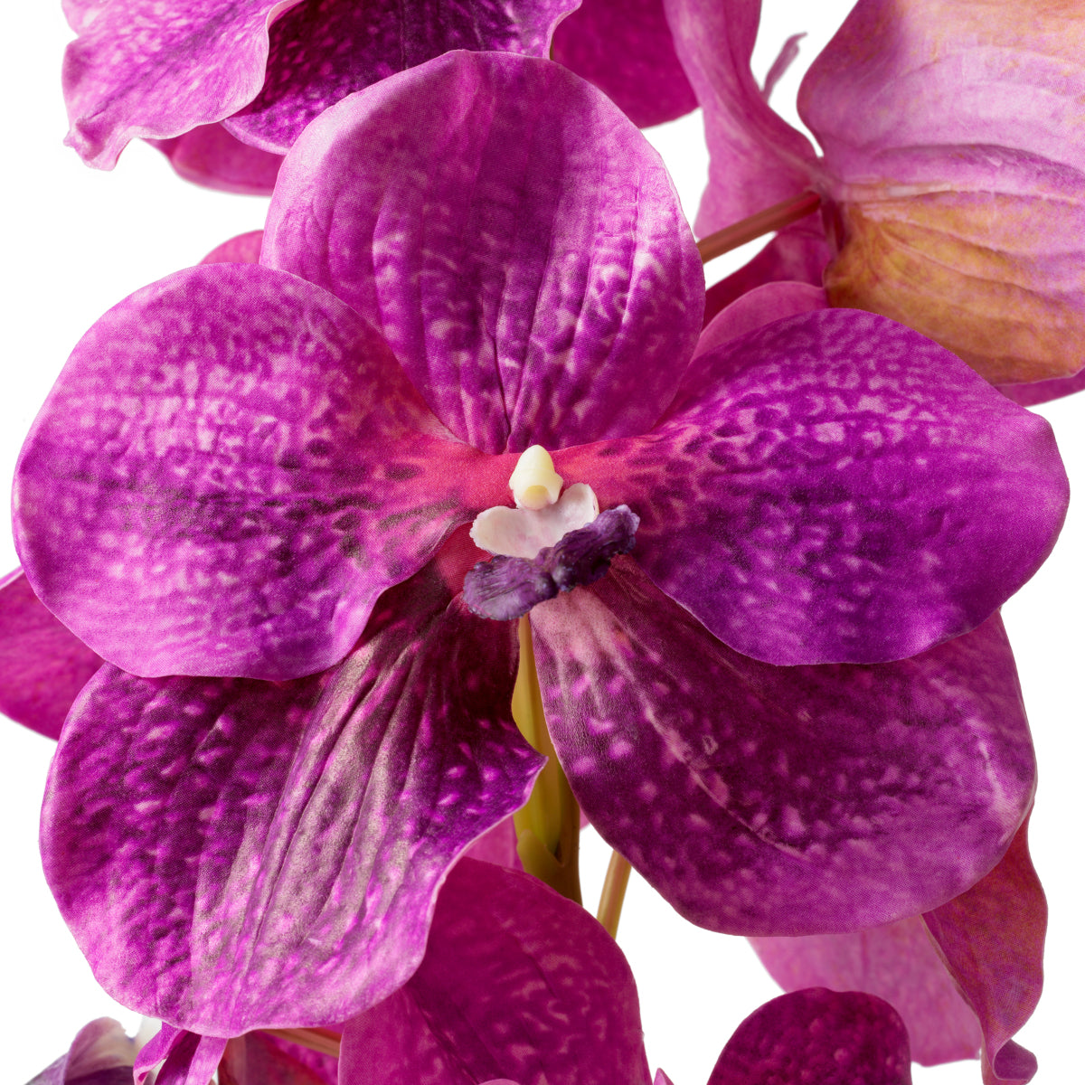 Bouquet of Artificial Flowers (24pcs) Vanda Orchids | Eichholtzmh.com 