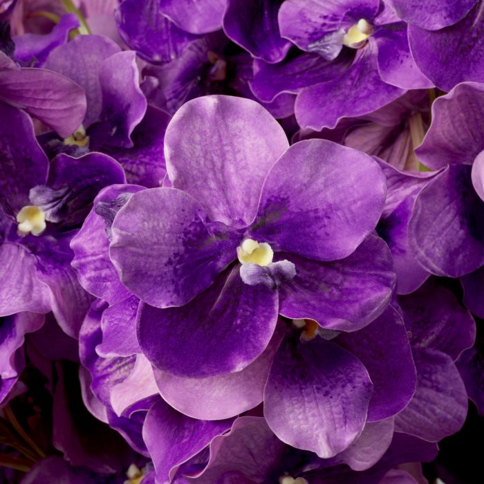 Bouquet of Vanda Orchids purple real touch 24 pcs