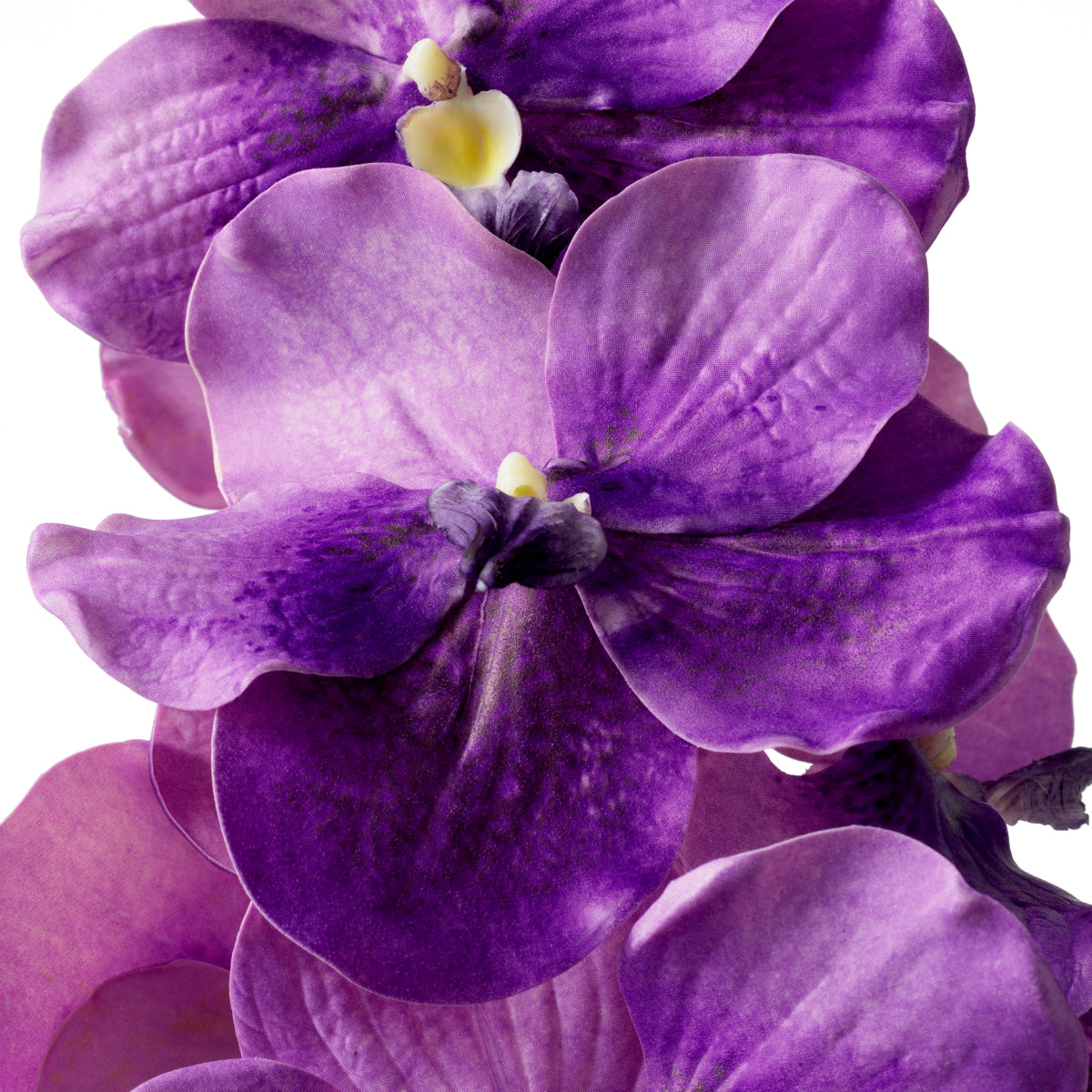 Bouquet of Artificial Flowers (24pcs) Vanda Orchids | Eichholtzmh.com 