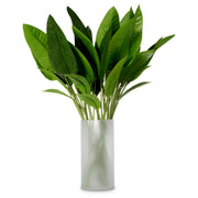Green Leaves (36) Strelitzia | Eichholtzmh.com