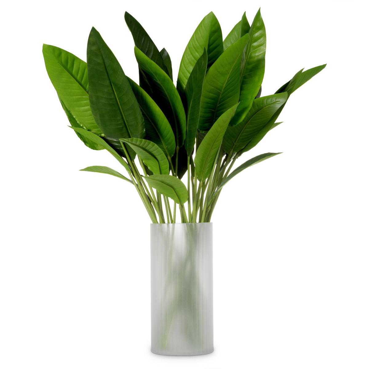 Green Leaves (36) Strelitzia | Eichholtzmh.com