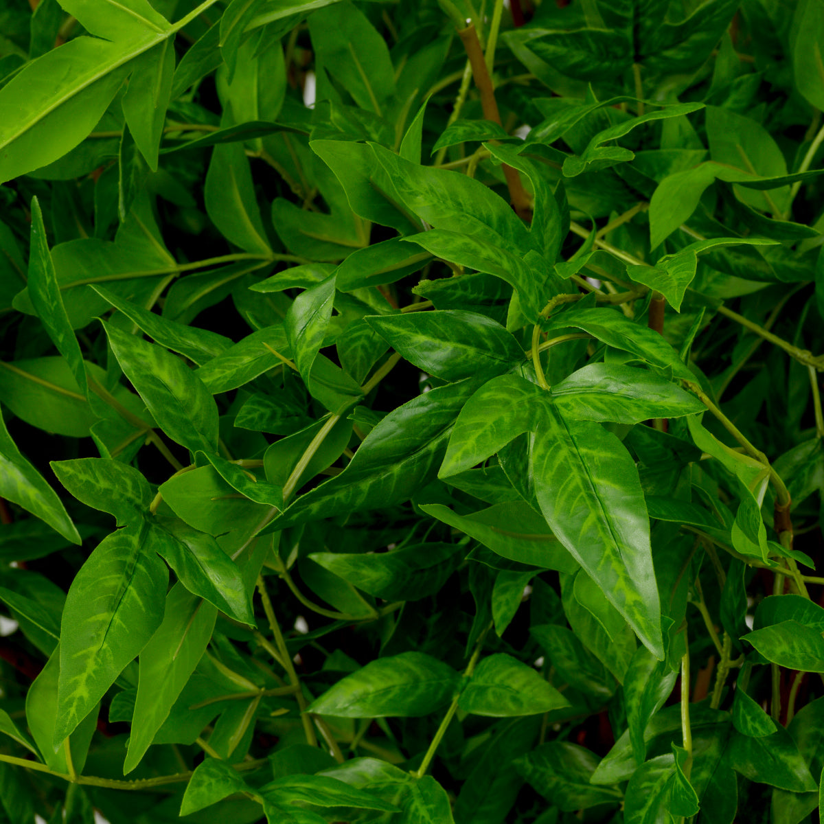 Artificial Green Bundle (36pcs) Tender Leaves | Eichholtzmh.com