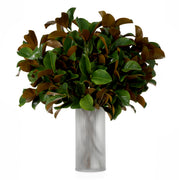 Green Foliage Leaves (24) Magnolia | Eichholtzmh.com