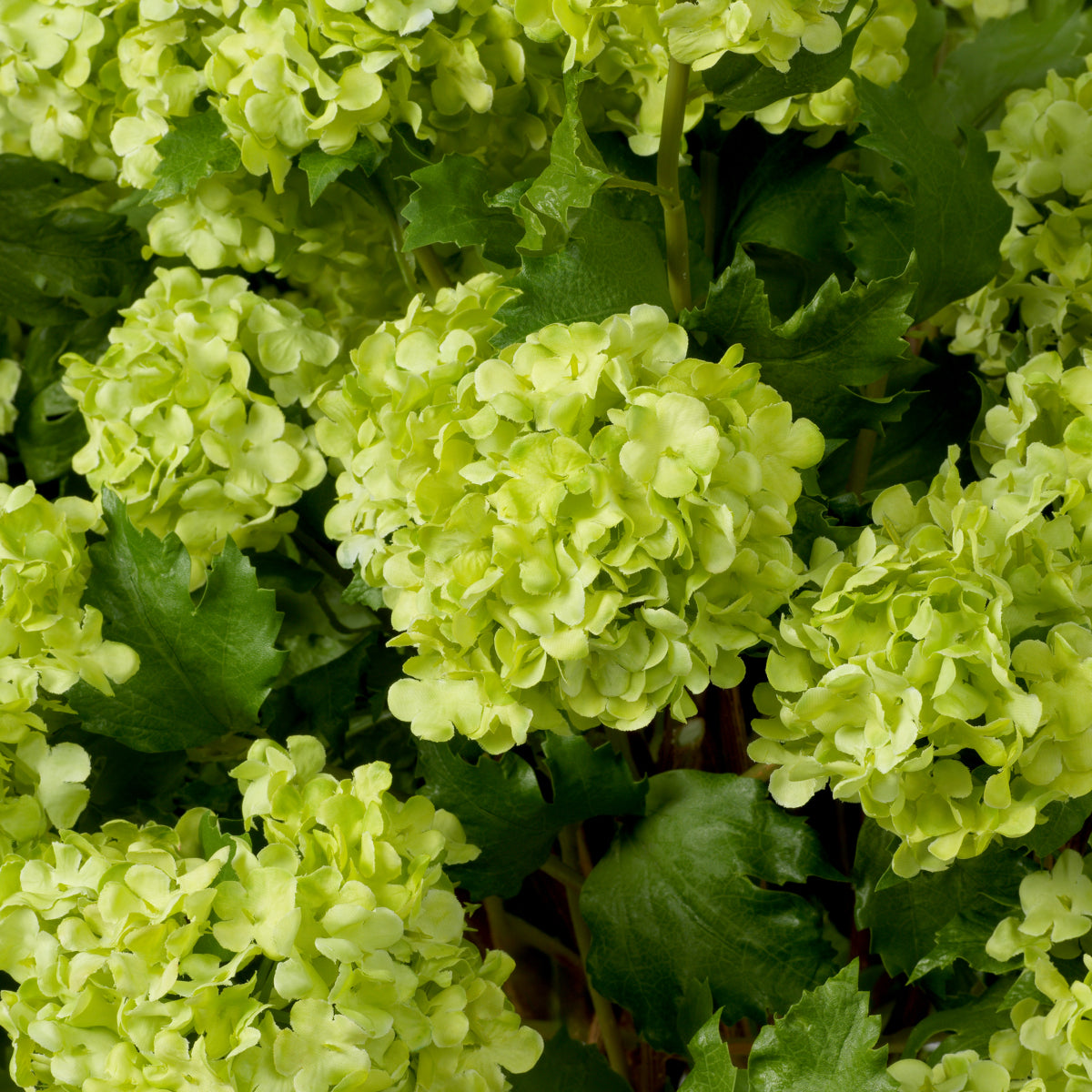 Snowball Flower Bouquet (36pcs) Hydrangeas | Eichholtzmh.com 