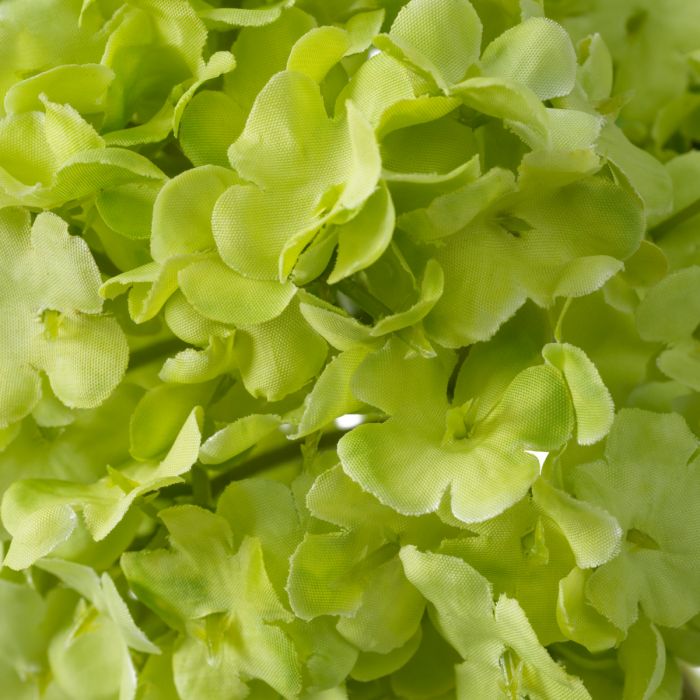 Bouquet of Hydrangeas snowball green real touch 36 pcs