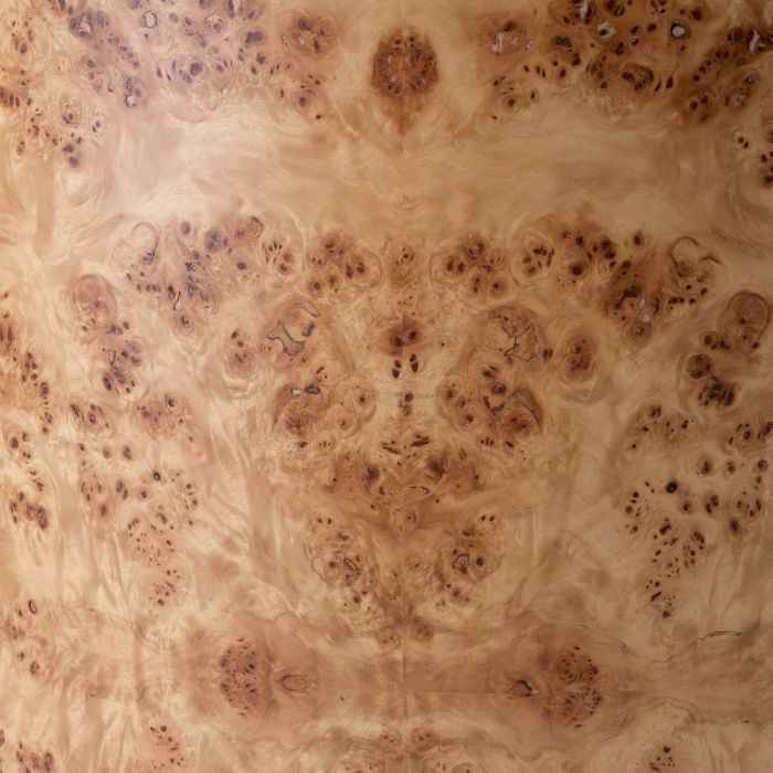 Dining Chair Percy light brown mappa burl veneer loki natural